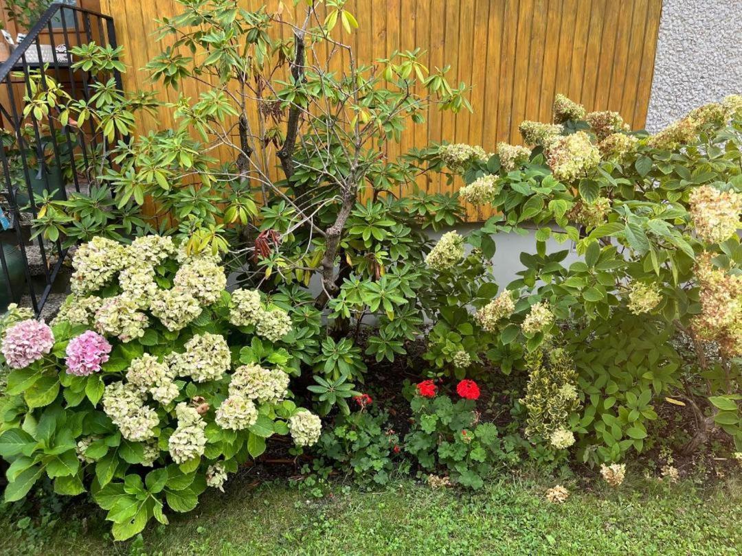 Marinela'S Bnb Vienna Exterior photo